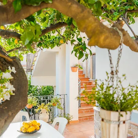 Appartamento Royal House